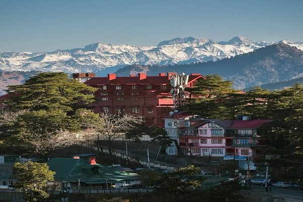 jalandhar to shimla cabs